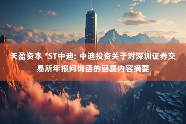 天盈资本 *ST中迪: 中迪投资关于对深圳证券交易所年报问询函的回复内容摘要