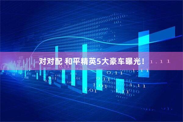 对对配 和平精英5大豪车曝光！