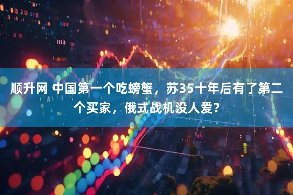 顺升网 中国第一个吃螃蟹，苏35十年后有了第二个买家，俄式战机没人爱？