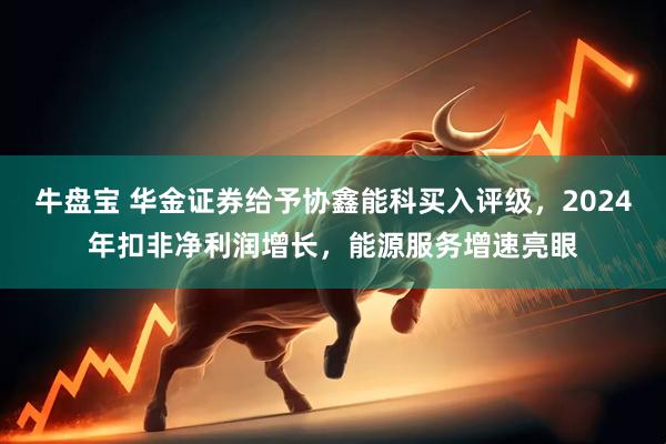 牛盘宝 华金证券给予协鑫能科买入评级，2024年扣非净利润增长，能源服务增速亮眼